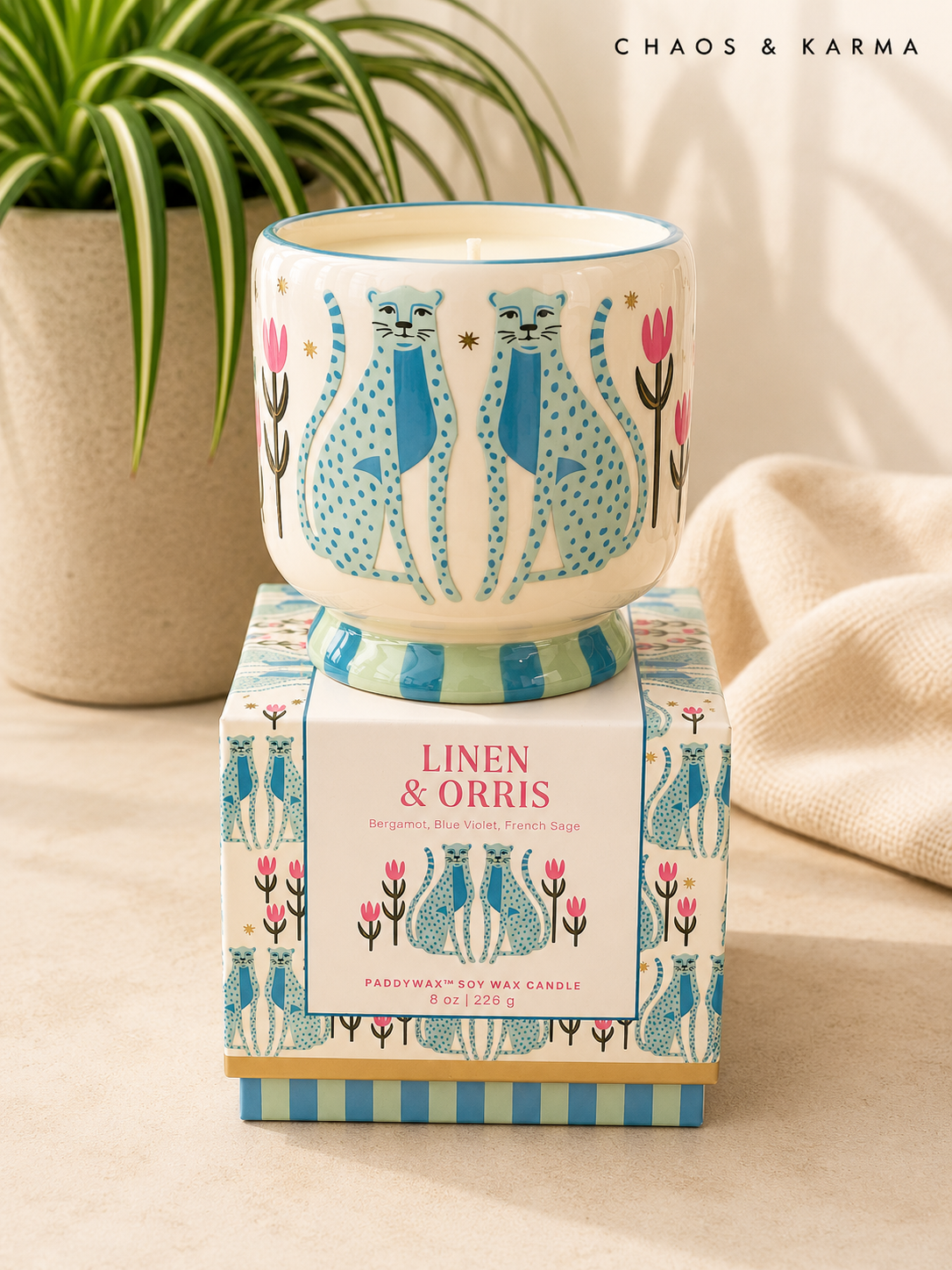 Paddywax Adopo Ceramic Candle