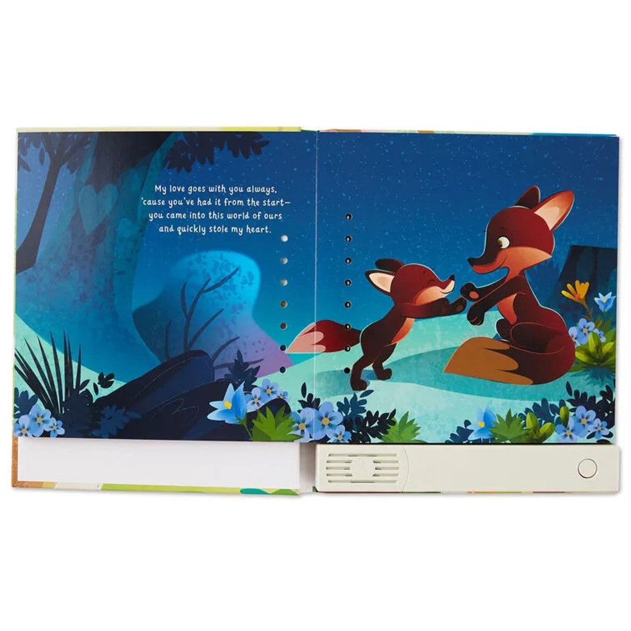 Hallmark Recordable Storybook