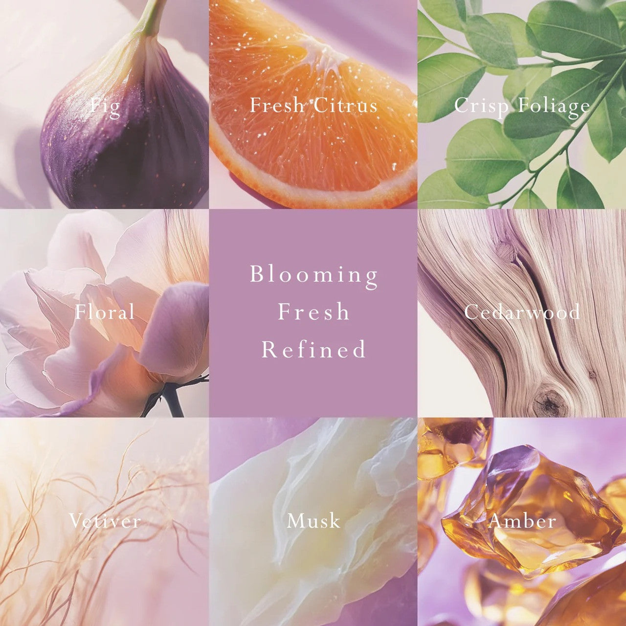 MOR Primavera Fig Candle