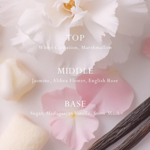 MOR Car/Space Diffuser