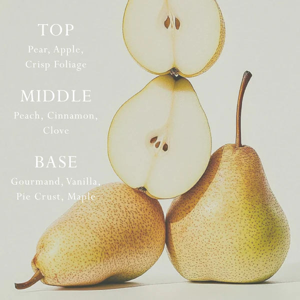 MOR Car/Space Diffuser