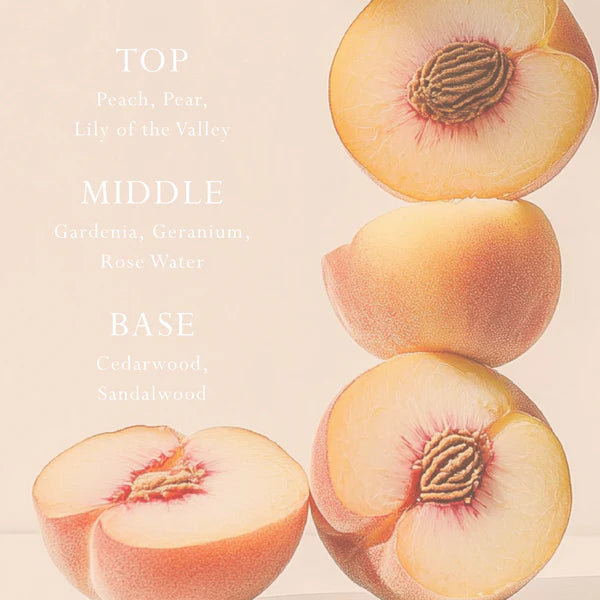 MOR Car/Space Diffuser