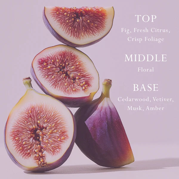 MOR Car/Space Diffuser