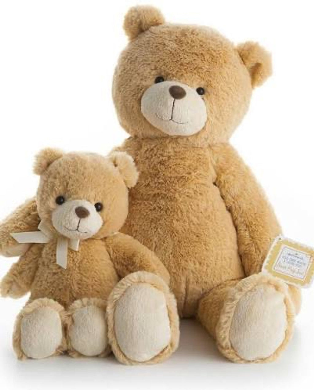 Hallmark Recordable Storybook