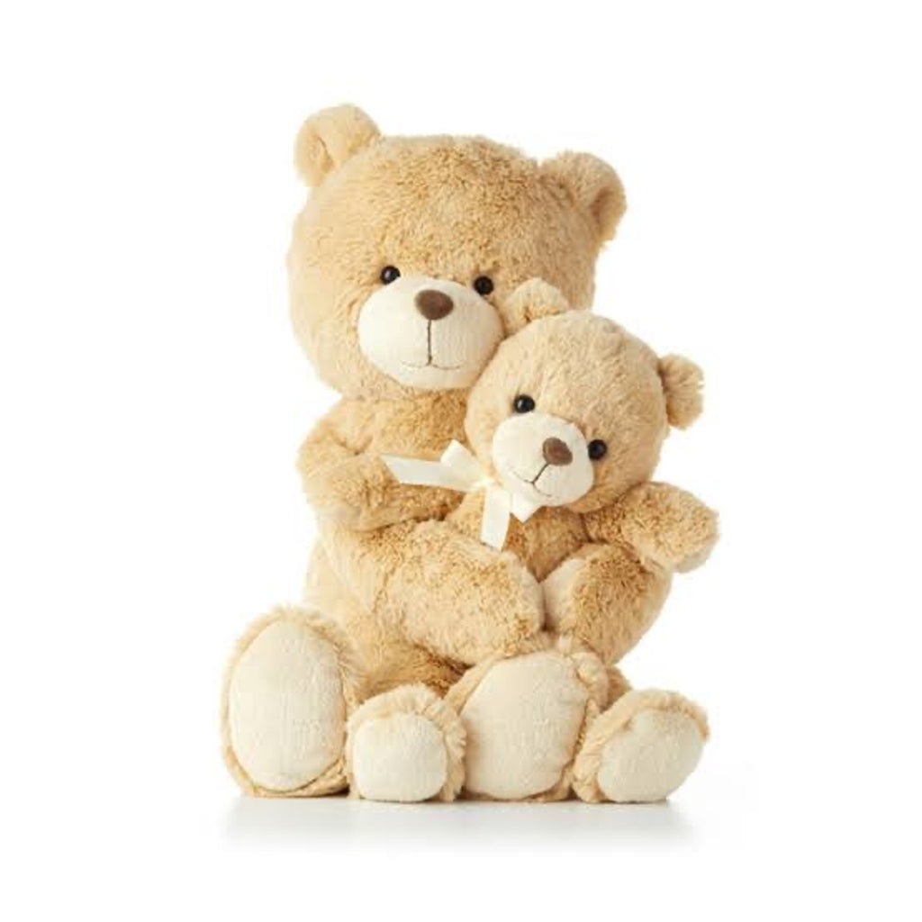 Hallmark Recordable Storybook