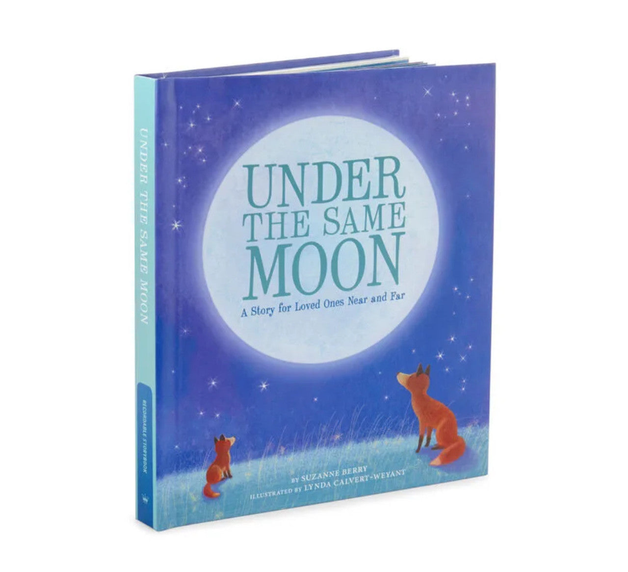 Hallmark Recordable Storybook