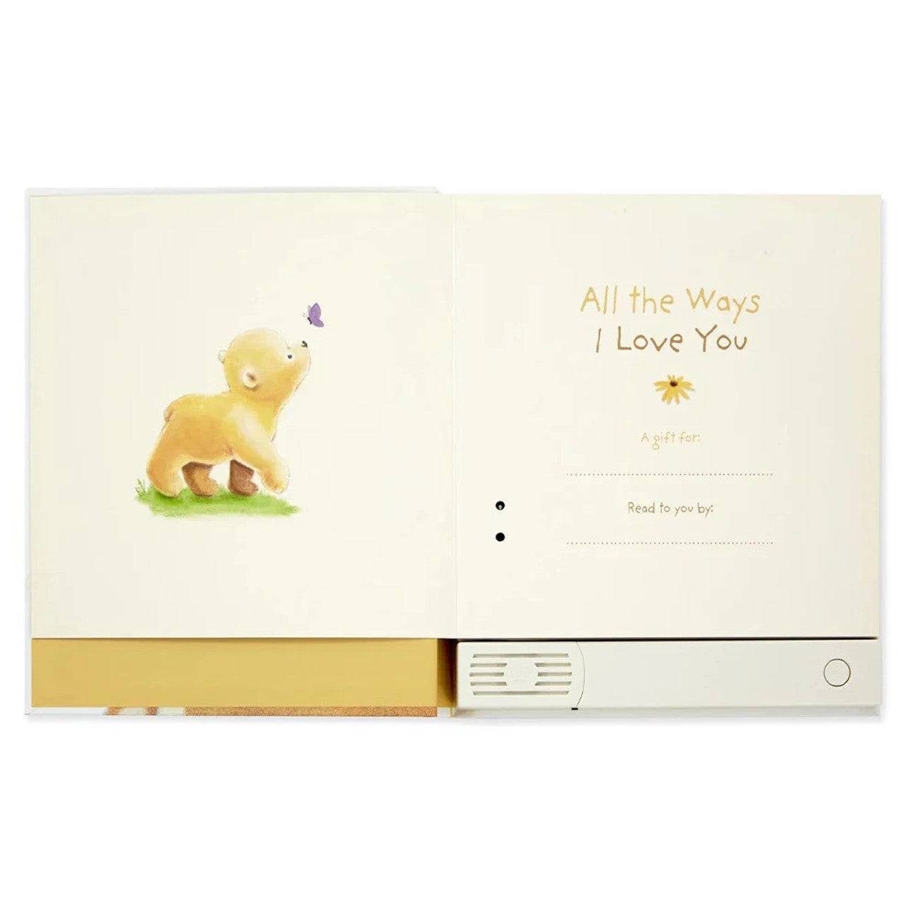 Hallmark Recordable Storybook