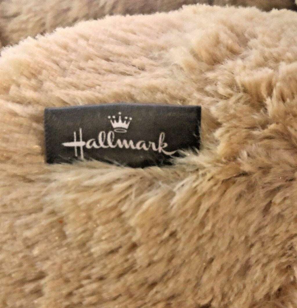 Hallmark Recordable Storybook