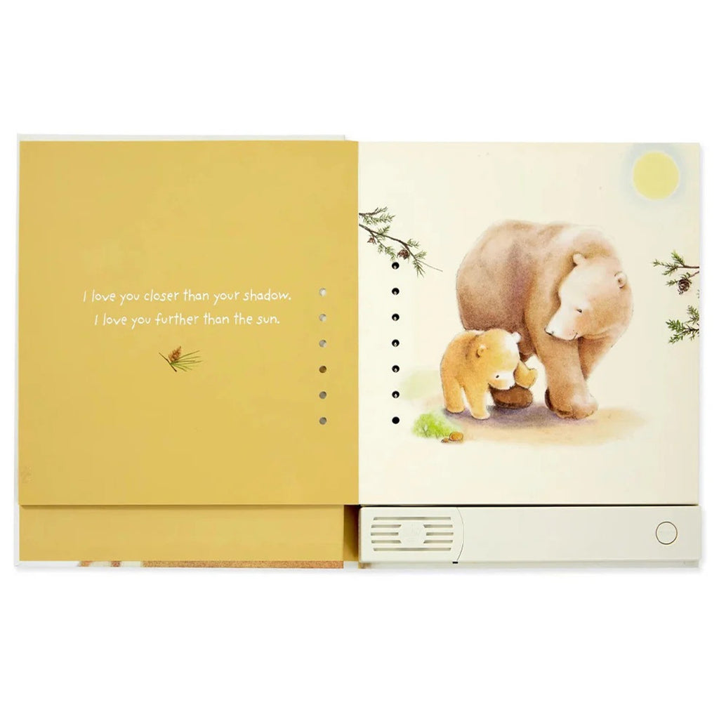 Hallmark Recordable Storybook