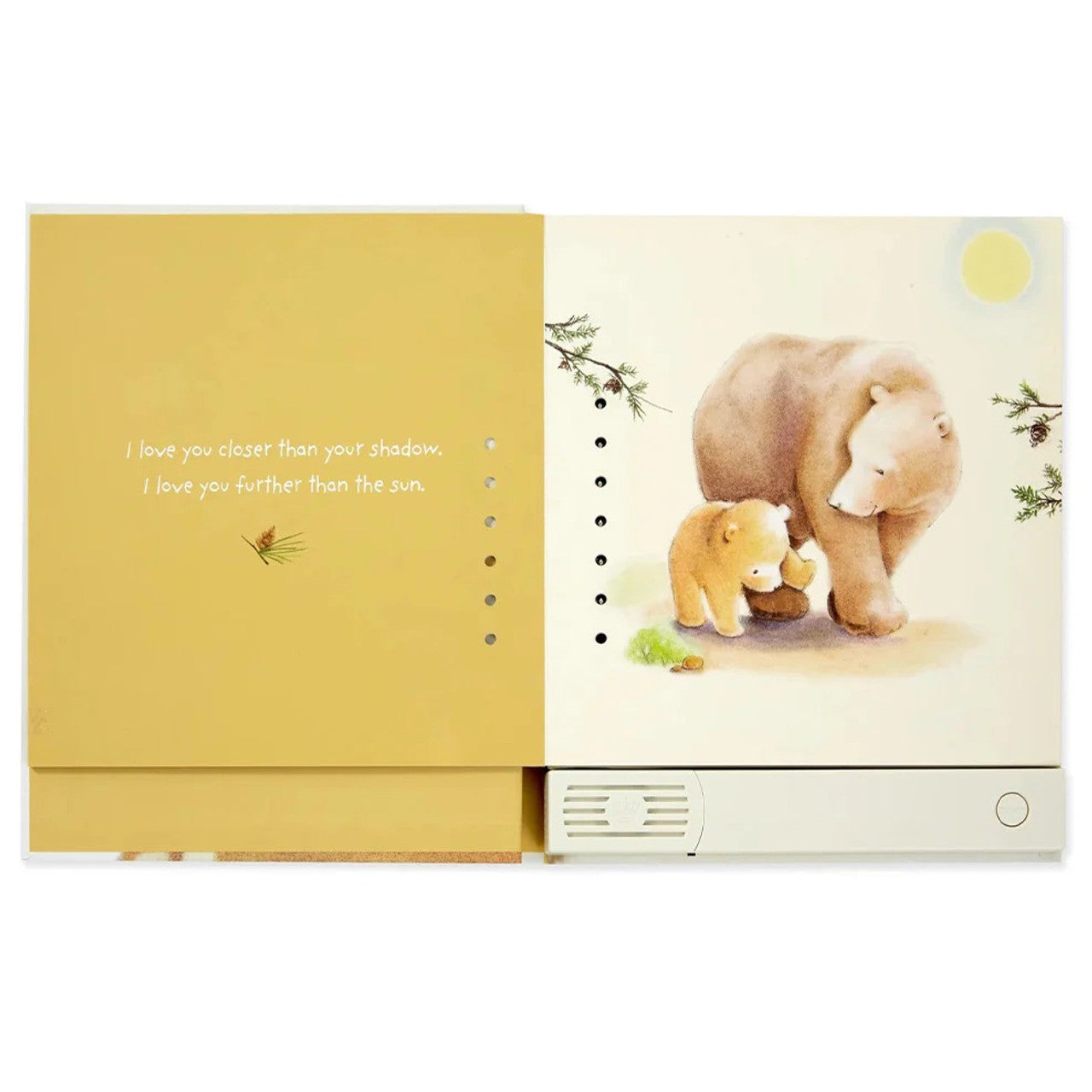 Hallmark Recordable Storybook