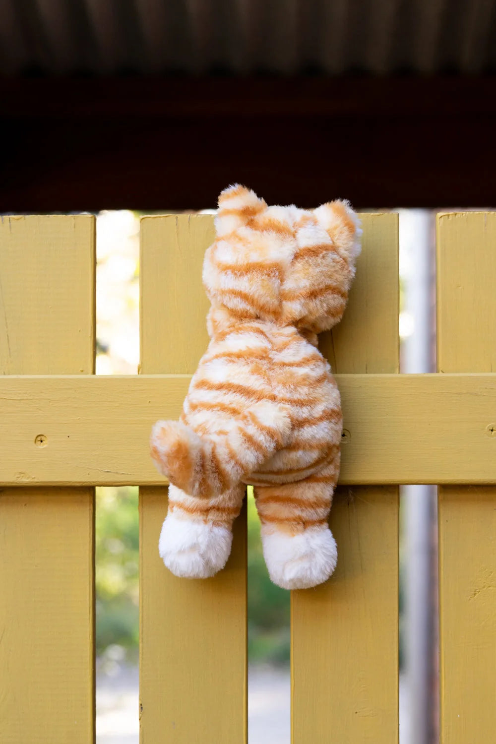 Nana Huchy Ginger Kitten