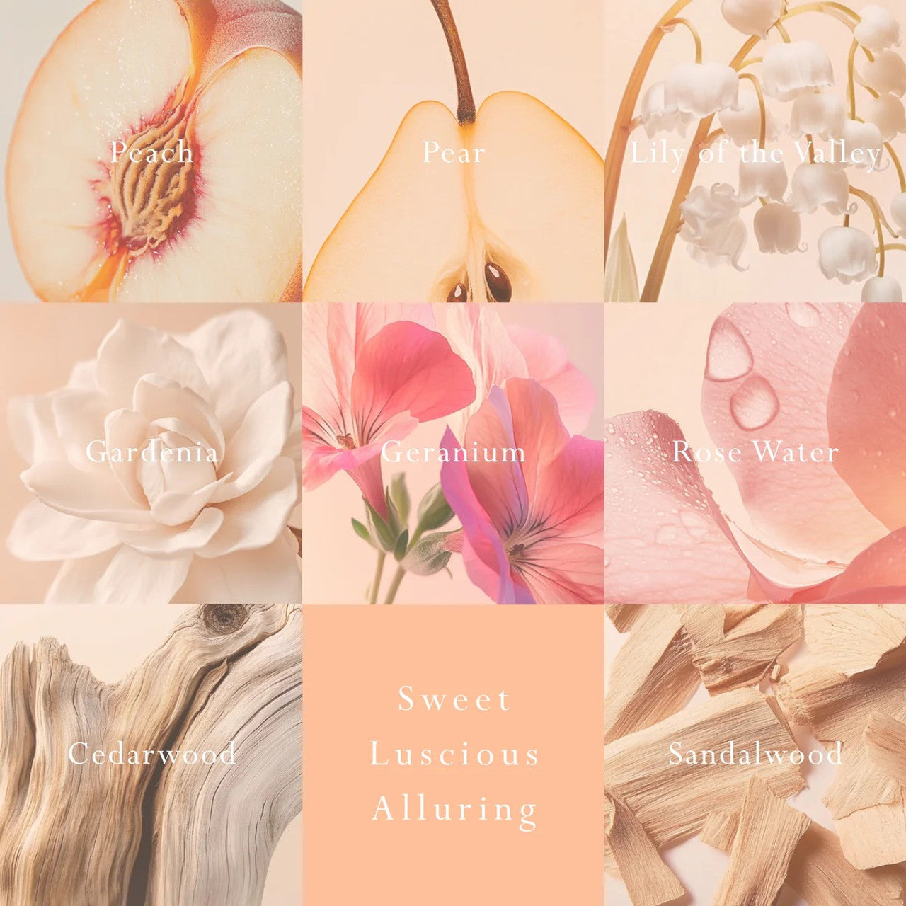 MOR Peach Delight Diffuser
