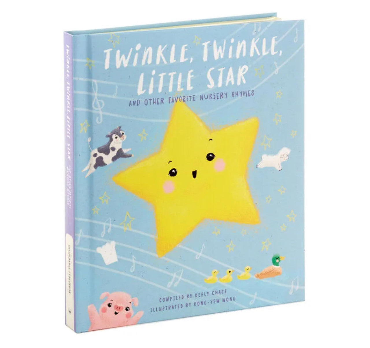 Hallmark Recordable Storybook