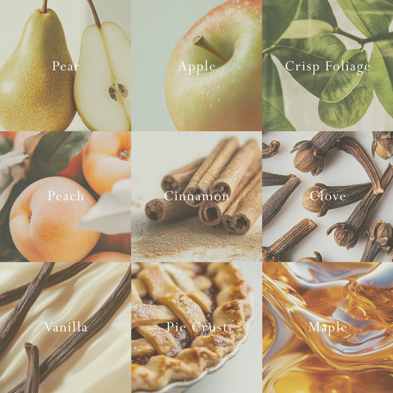 MOR Italian Pear Candle