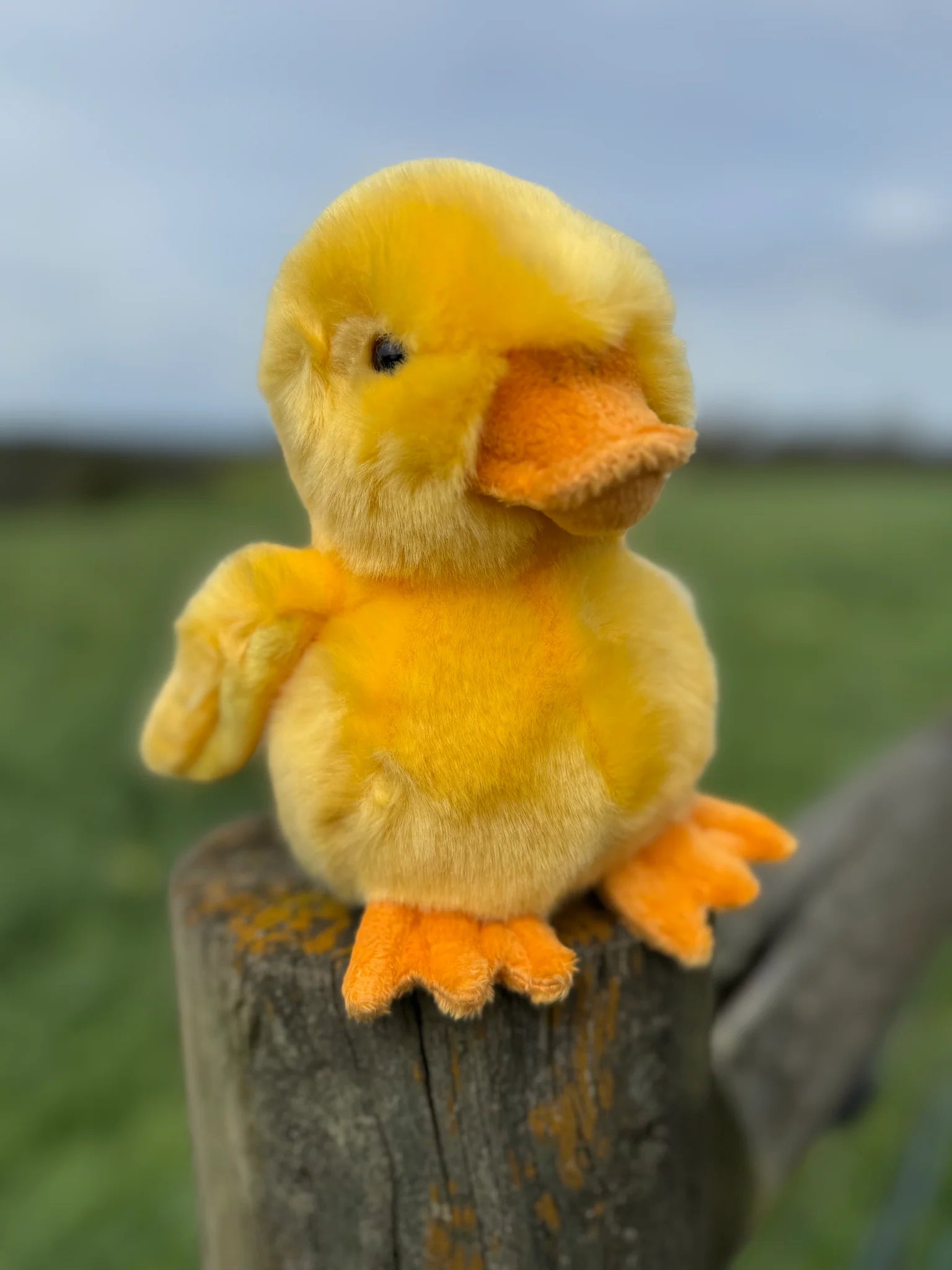 Kormico Lil Friends 18cm