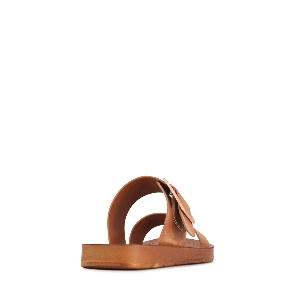 Los Cabos Doti Wide Brandy