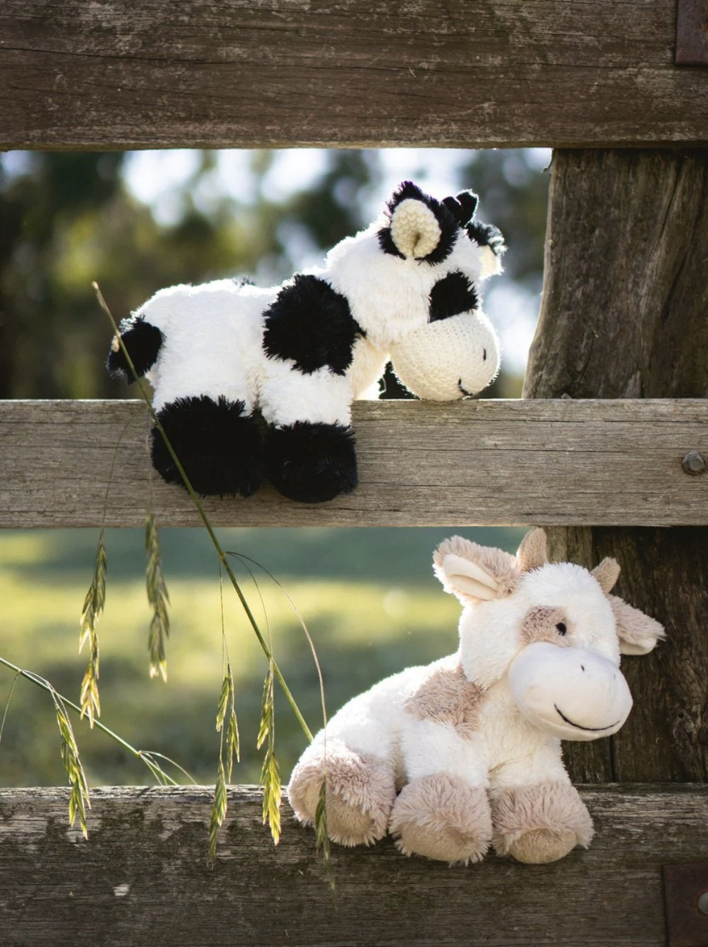 Nana Huchy Coco the Cow