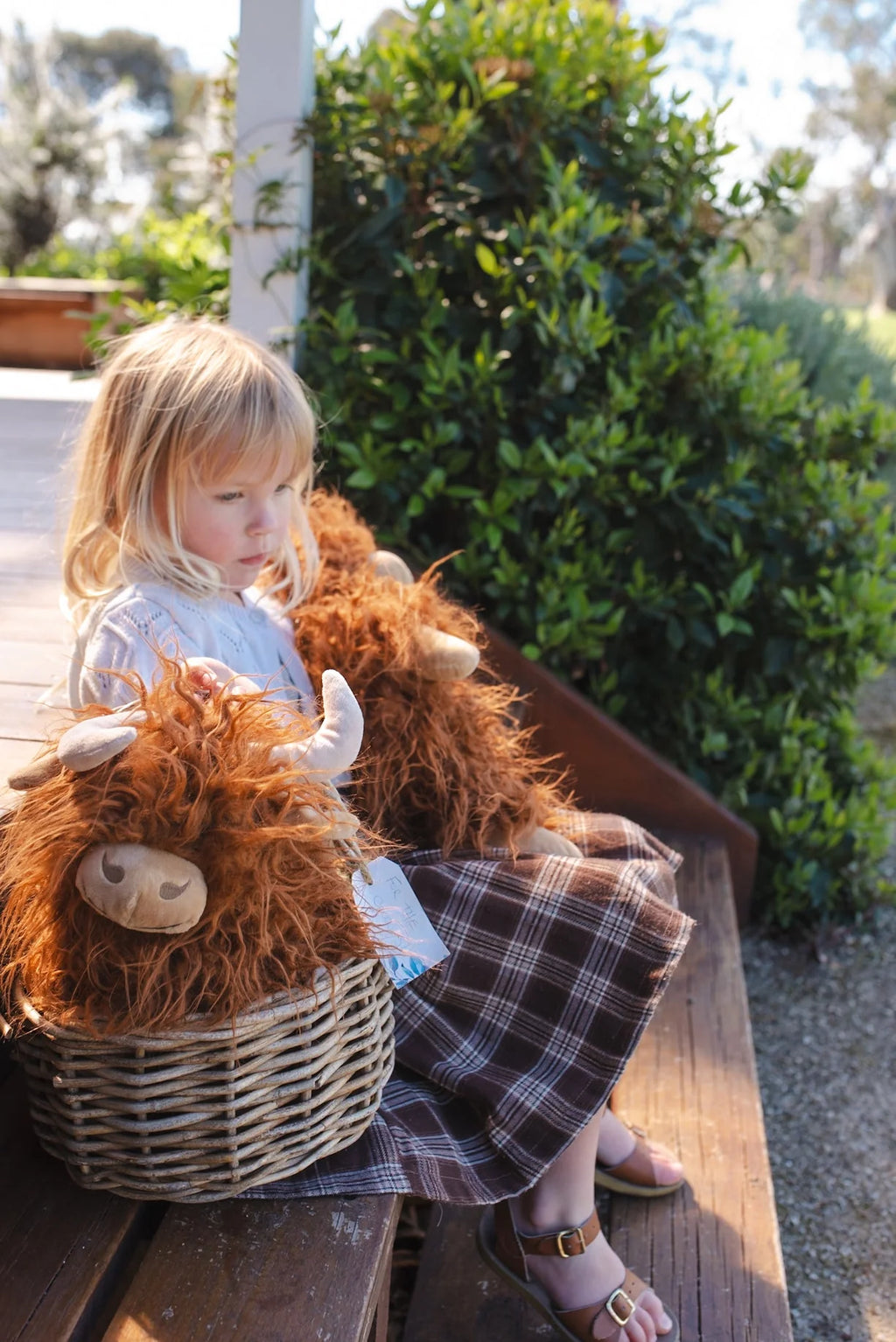 Nana Huchy Heidi the Highland Cow